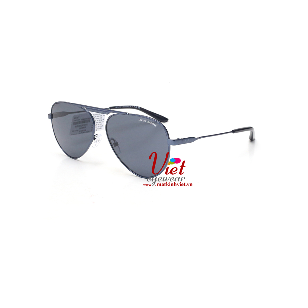 Kính mát Armani Exchange AX2060S 6132/87